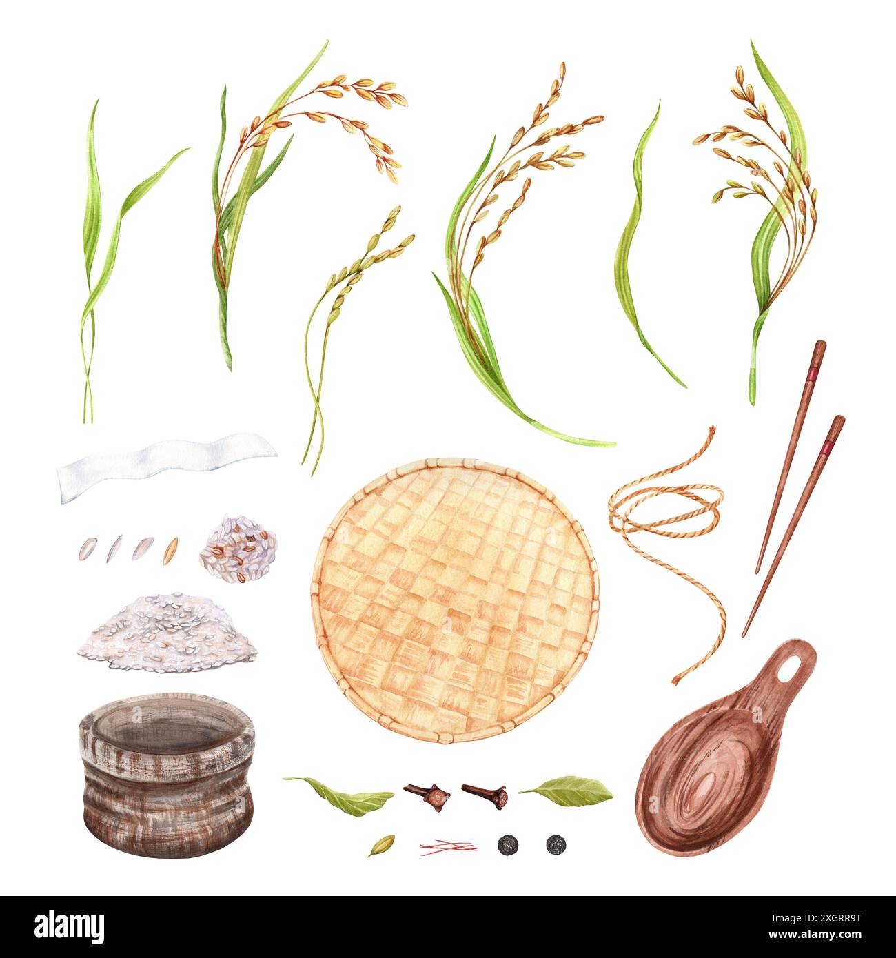 Récoltes de riz et collecte de céréales. Illustration d'aquarelle dessinée à la main isolée de l'arrière-plan. Ensemble agricole traditionnel avec tige de riz, baguette Banque D'Images