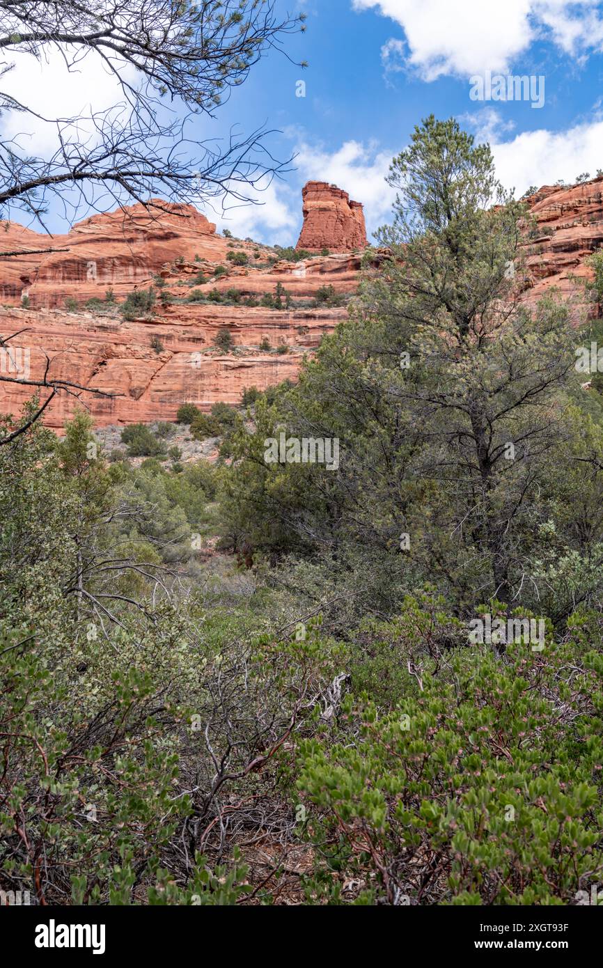 Magnifique paysage le long du sentier Fay Canyon à Sedona Arizona Banque D'Images