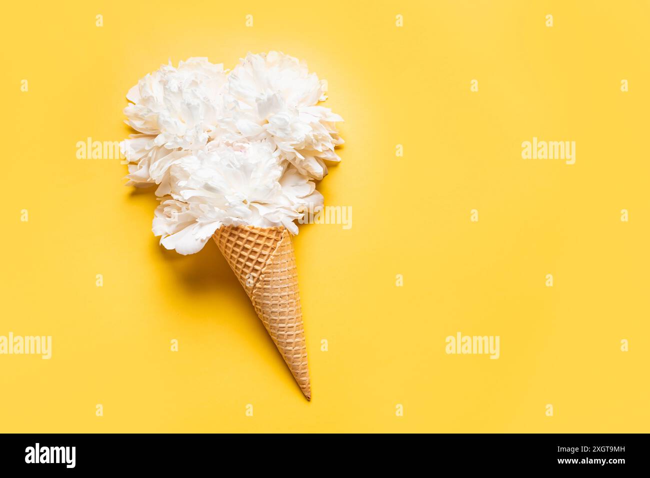 Fleurs de pivoine blanche en cône gaufré sur fond jaune vif. Cône de crème glacée avec fleur, design floral d'été créatif. Banque D'Images
