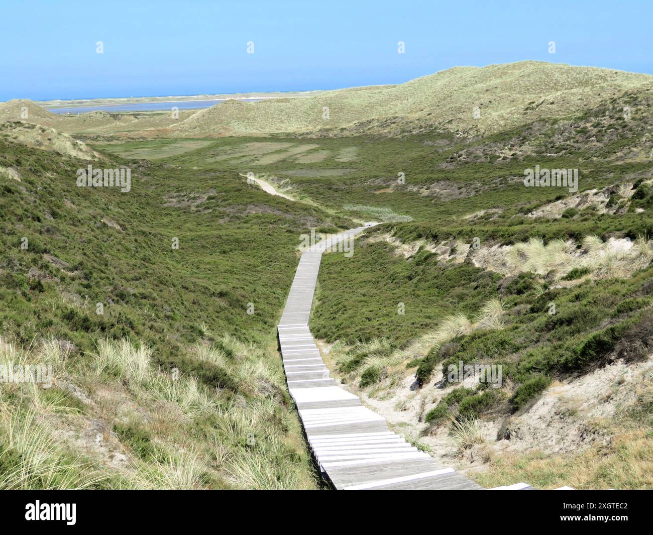 Sentier dunaire sur l'île de Sylt avec ciel bleu en arrière-plan. Banque D'Images