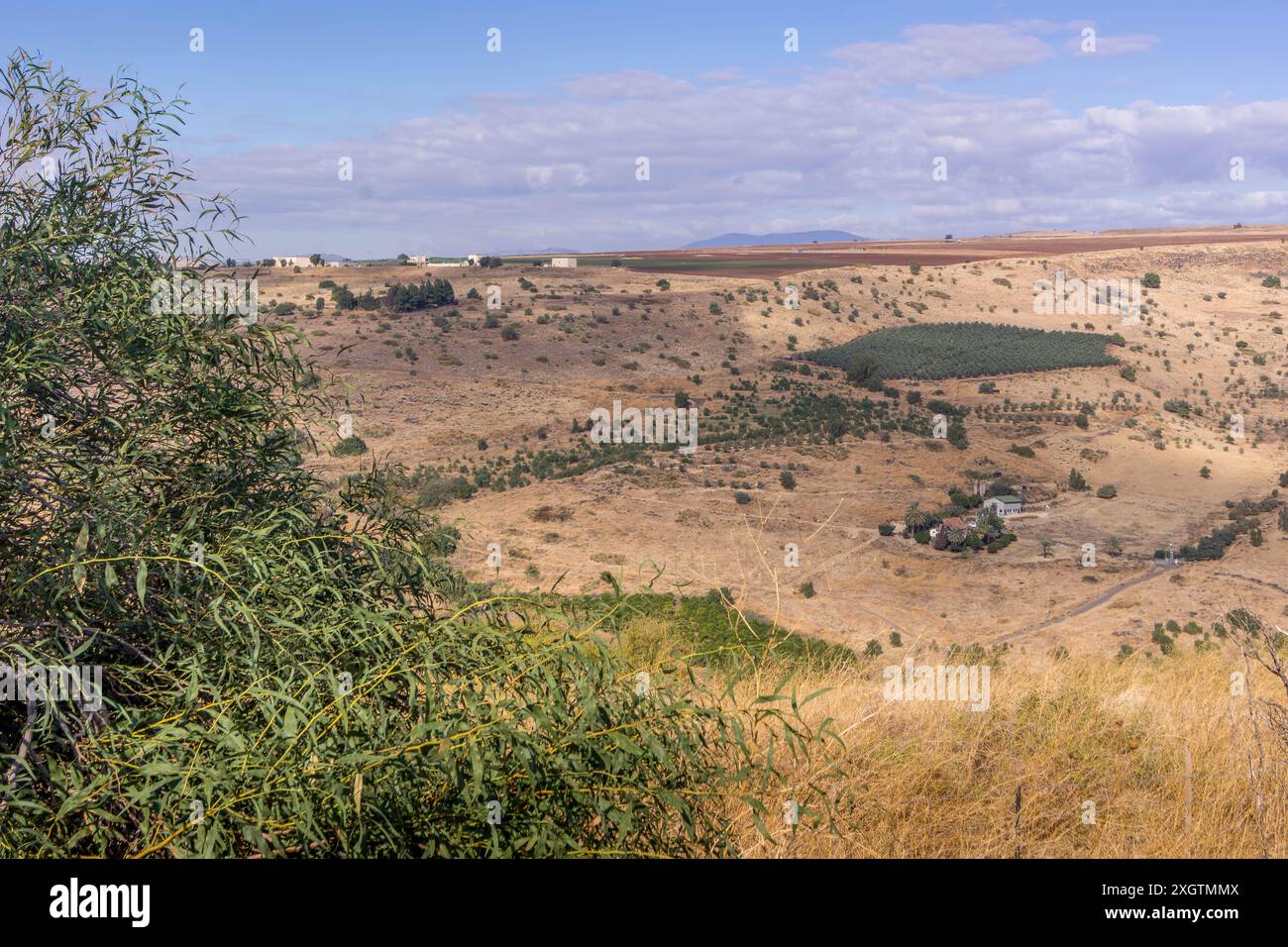 La campagne vallonnée dans la région des hauteurs du Golan, Galilée, avec les colonies israéliennes, les fermes, et le paysage herbeux. Banque D'Images