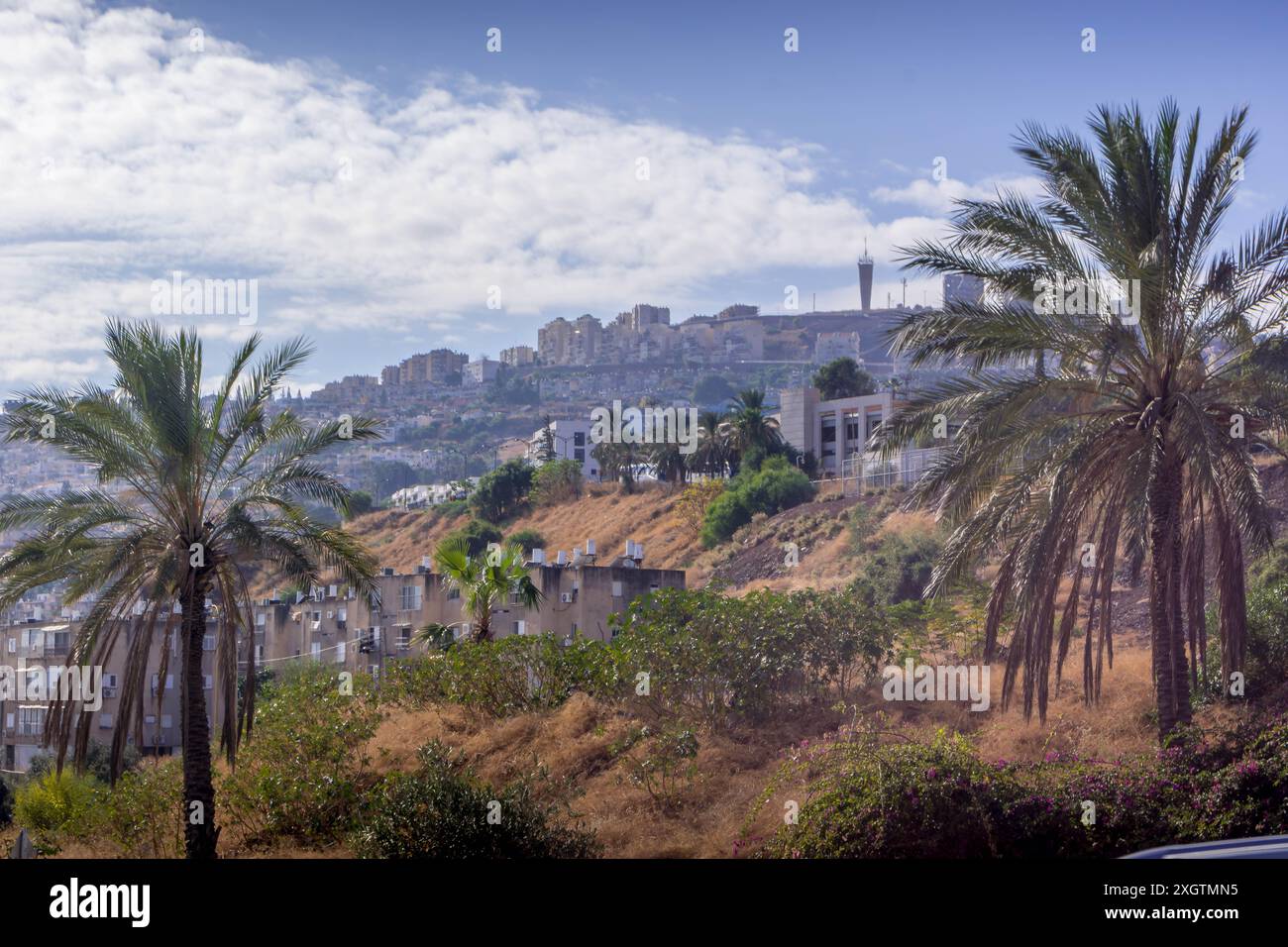 Les palmiers et la vue urbaine sur la rue de Tibériade, le port israélien, près de la frontière avec la Syrie. Banque D'Images