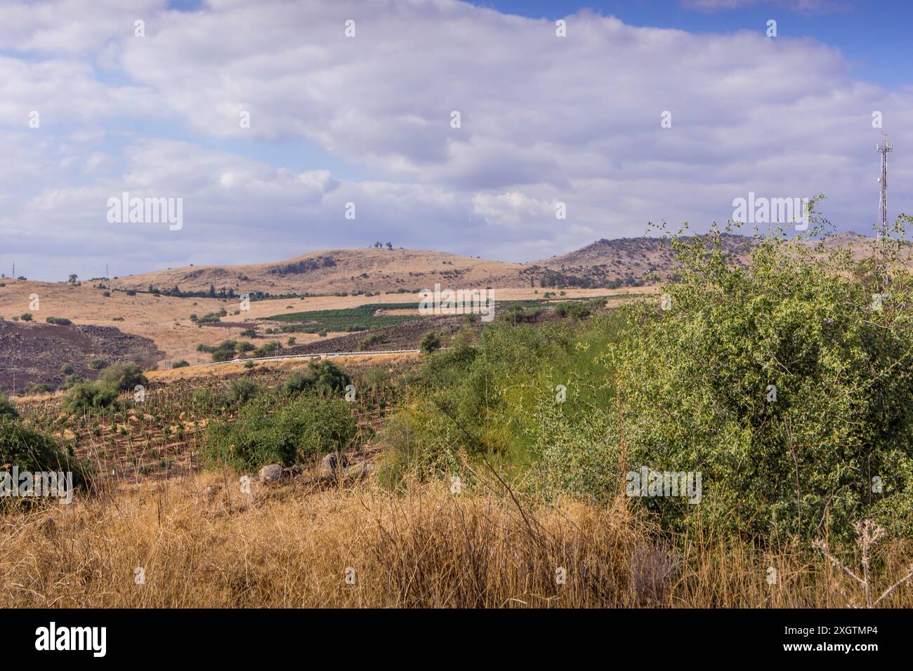 La campagne vallonnée dans la région des hauteurs du Golan, Galilée, avec les colonies israéliennes, les fermes, et le paysage herbeux. Banque D'Images