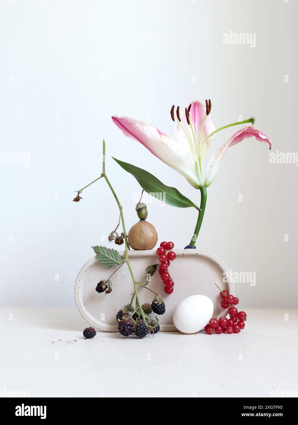 Une composition délicate avec un lis rose et blanc, entouré de mûres luxuriantes, de groseilles rouges et d'une pierre blanche solitaire, le tout artistiquement arrang Banque D'Images