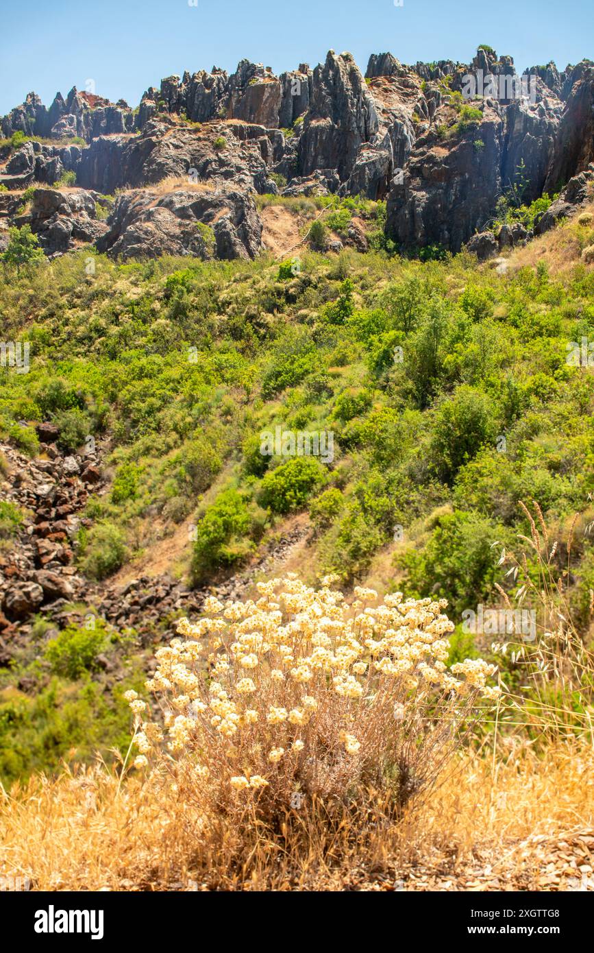 Explorez les formations karstiques escarpées du Cerro del Hierro situé dans le parc naturel de la Sierra Norte, à Séville, en Espagne. Paysage idéal pour la nature enthusi Banque D'Images