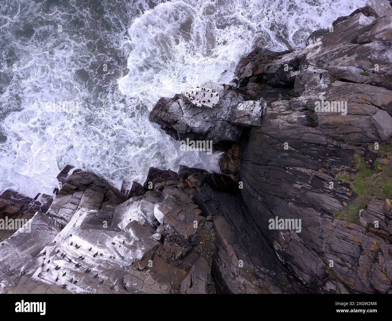 Falaises rocheuses tombant dans l'océan, vue sous un angle élevé, temps orageux Banque D'Images