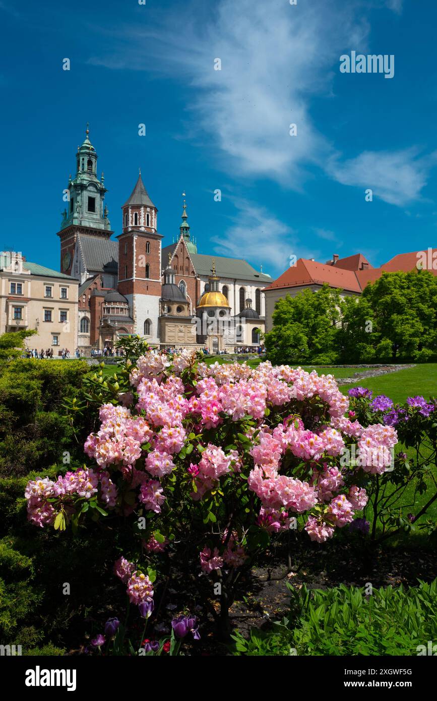 2023-05-22 ; Cathédrale royale du château de Wawel à Cracovie. Pologne. Banque D'Images