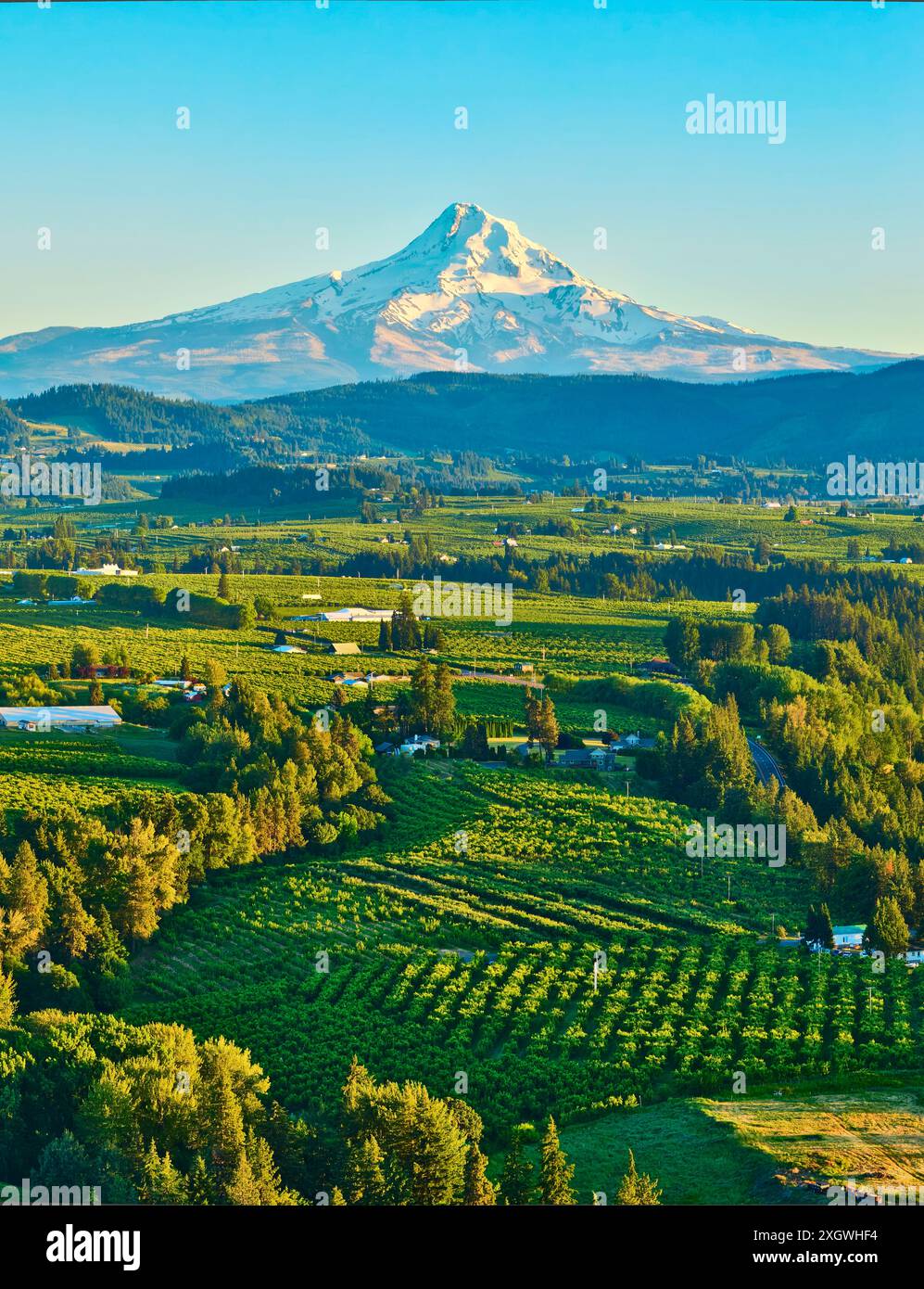 Vol aérien au-dessus du Mont Hood et de Lush Valley à Golden Hour Banque D'Images