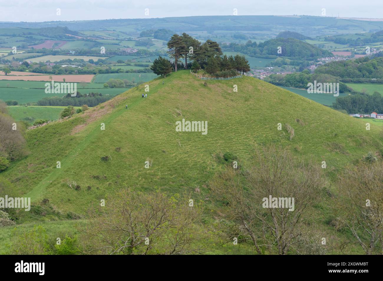 Photo de paysage de Colmers Hill dans le Dorset Banque D'Images