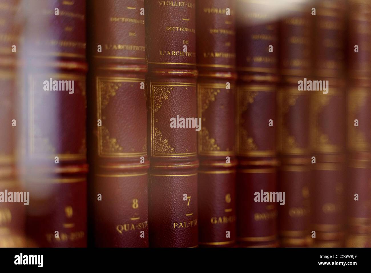 Une rangée soignée de livres rouges alignés sur une étagère, créant un affichage vibrant et organisé dans un cadre de maison ou de bibliothèque. Banque D'Images