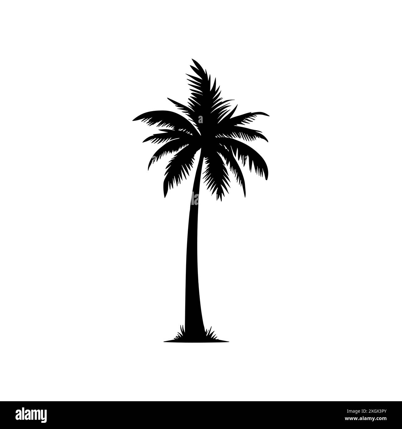 Icône de noix de coco noire de palmier. Palmetto Beach Black Summer Palm Tree hawaii icône vectorielle. Illustration de Vecteur