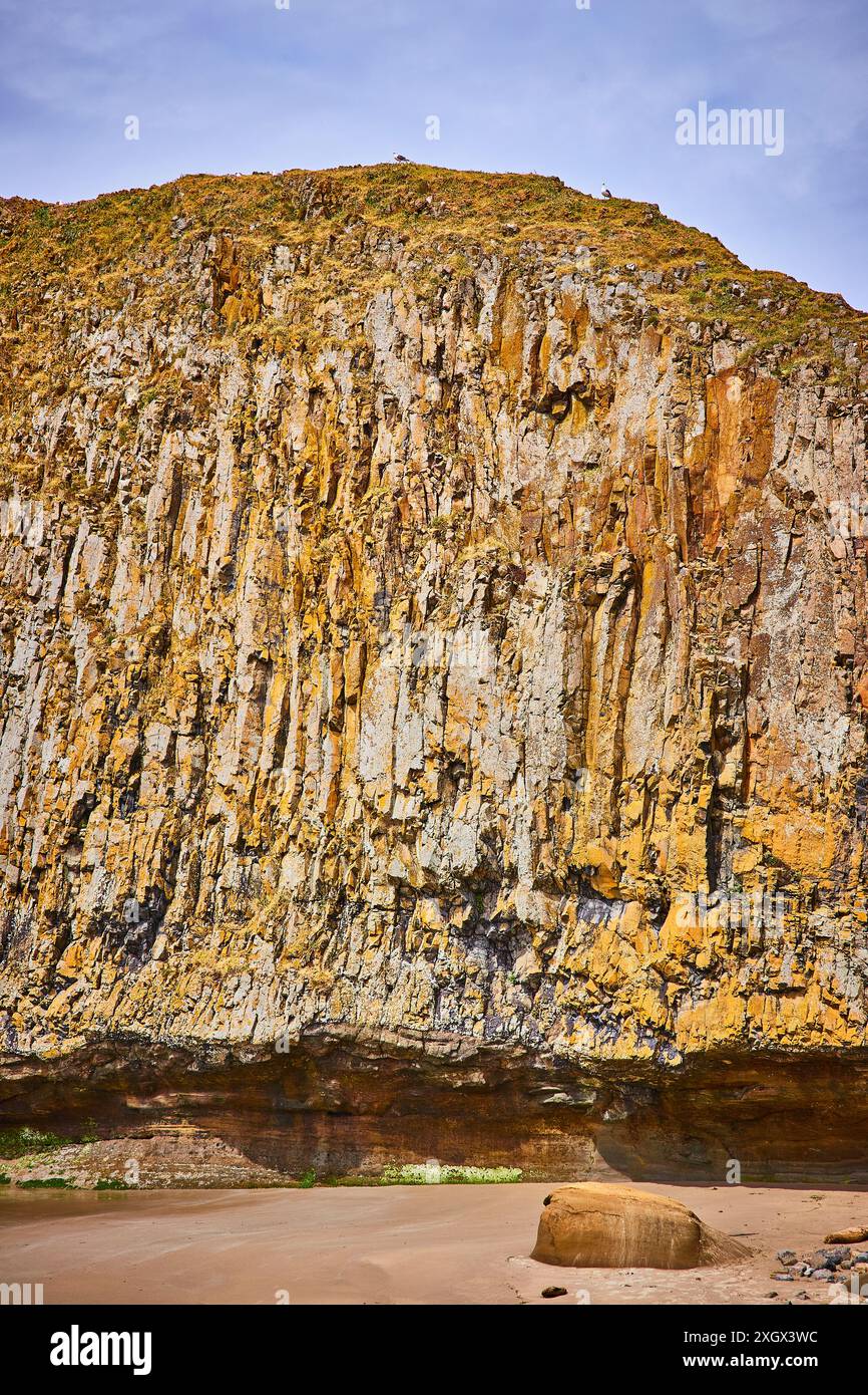 Falaise accidentée et verge herbeuse à Seal Rock Oregon Coastal Day View Banque D'Images