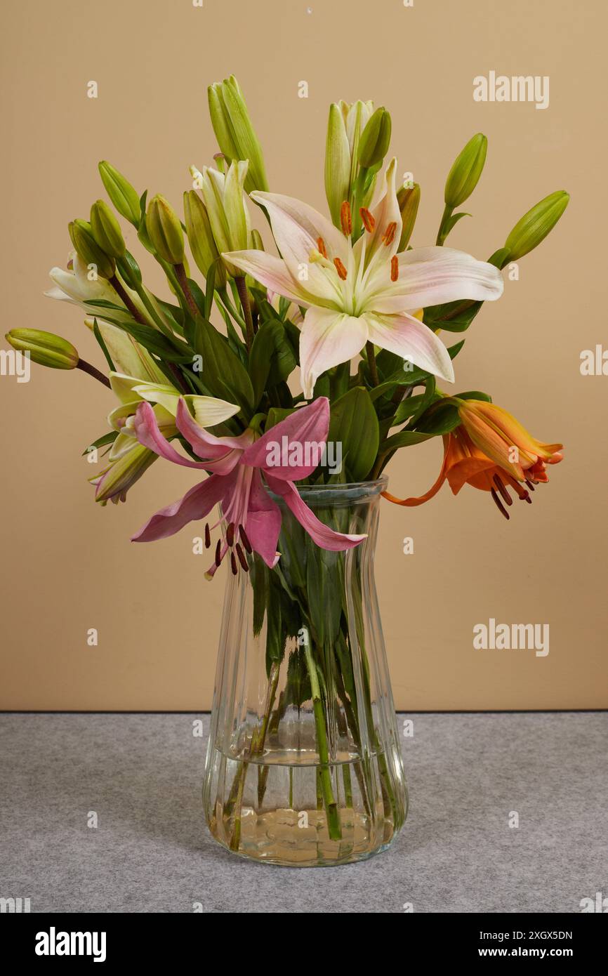 Beaux lis colorés dans un vase en verre avec des fonds clairs et sombres Banque D'Images