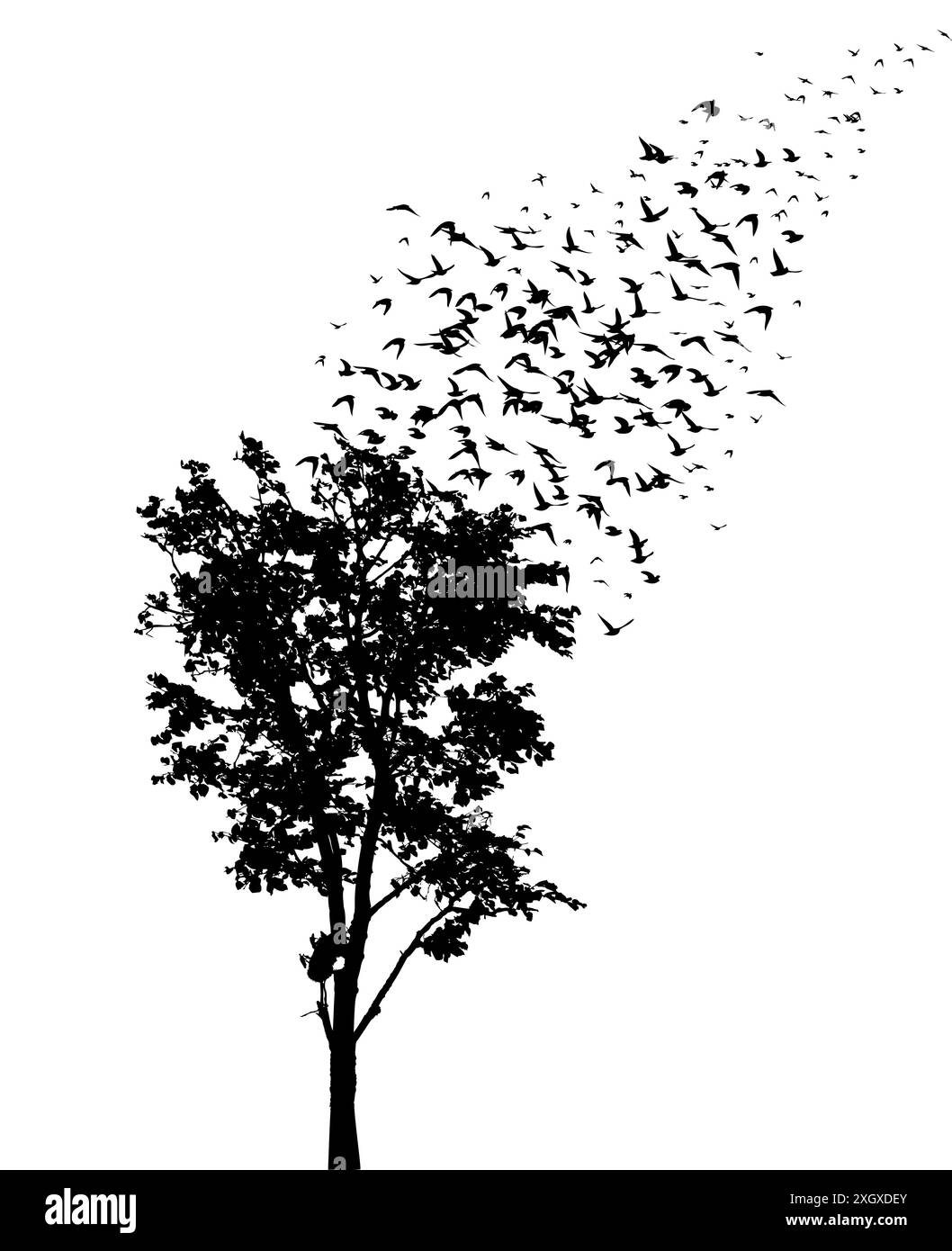 Silhouette d'arbre et oiseaux volants. dessin à la main. Pas vecteur IA Illustration de Vecteur