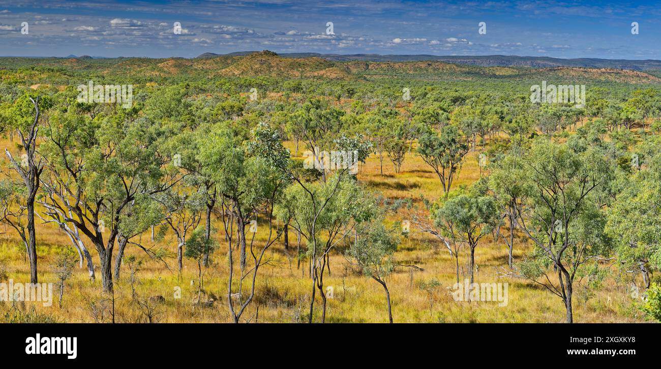 Panorama de prairies, forêt, s'étend du belvédère de Casey's Rest près de Georgetown dans le golfe de Carpentaria, Queensland, Australie Banque D'Images