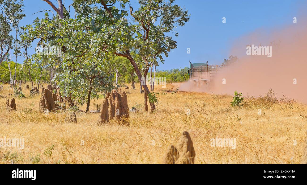 Un camion à bétail remue la poussière rouge sur une route reculée de l'Outback avec des arbres, de l'herbe, des termitières, Savannah Way, le golfe de Carpentaria, Queensland, Australie Banque D'Images