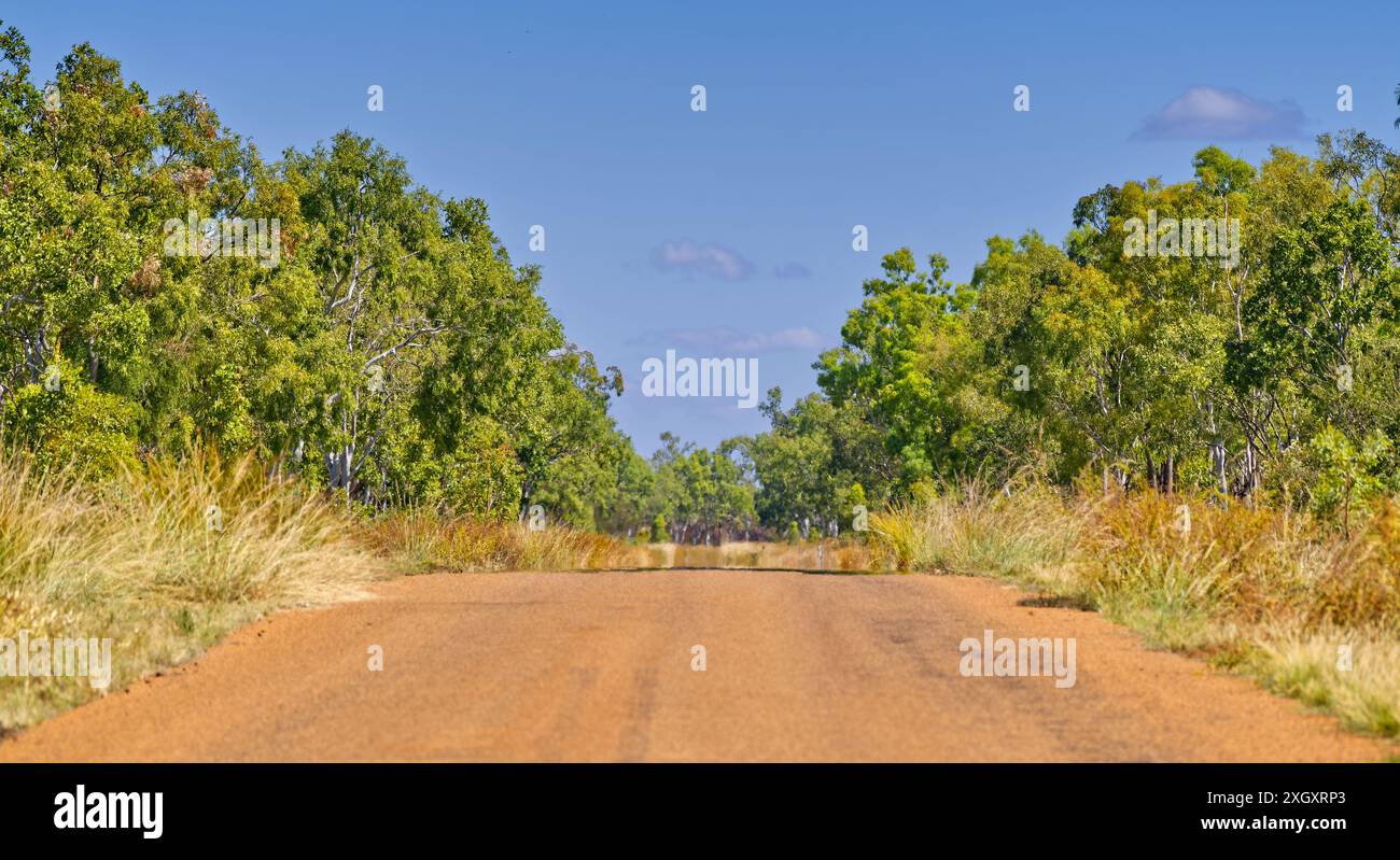Section éloignée de la route rouge Savannah Way près de Burketown avec arbres et herbe et ciel bleu, golfe de Carpentaria, Queensland, Australie Banque D'Images