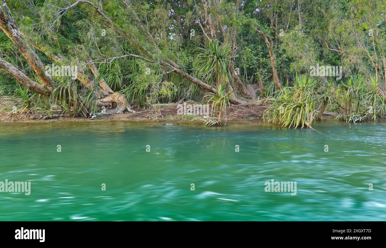 Eau verte de la rivière Gregory coulant le long du lit de ruisseau sablonneux avec des palmiers pandanus et des arbres melalueca à Gregory, Lawn Hill, Queensland, Australie Banque D'Images