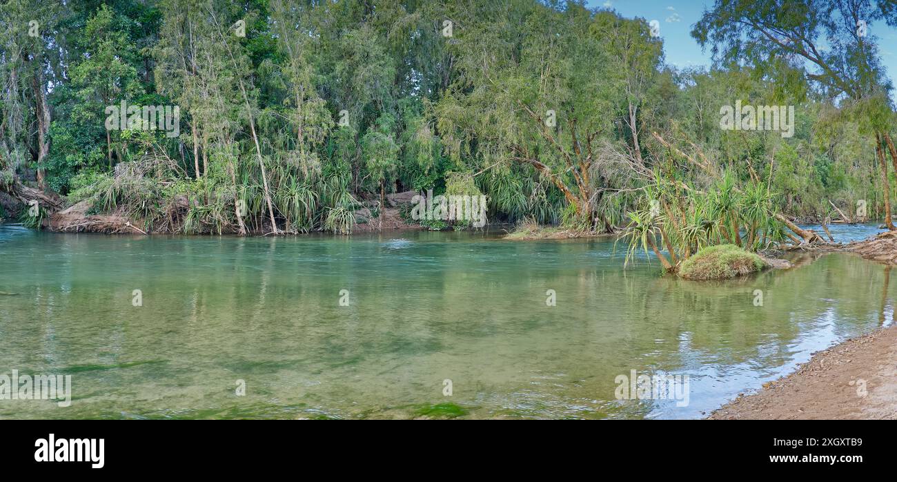 Eau verte de la rivière Gregory coulant le long du lit de ruisseau sablonneux avec des palmiers pandanus et des arbres melalueca à Gregory, Lawn Hill, Queensland, Australie Banque D'Images