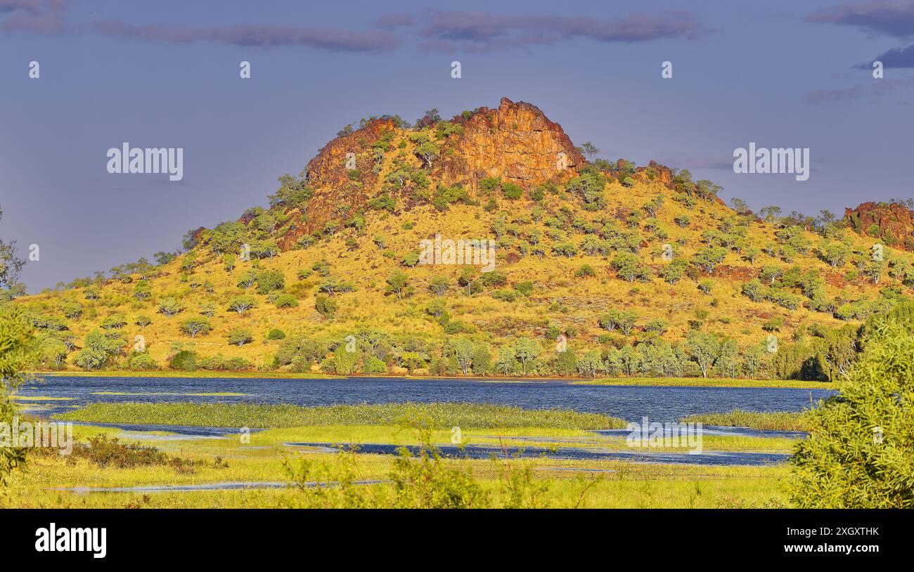 Lumière en fin d'après-midi sur un affleurement rocheux rouge dans un maquis de spinifex avec un ciel bleu d'eucalyptus au barrage de Chinaman's Creek, Cloncurry, Queensland, Australie Banque D'Images