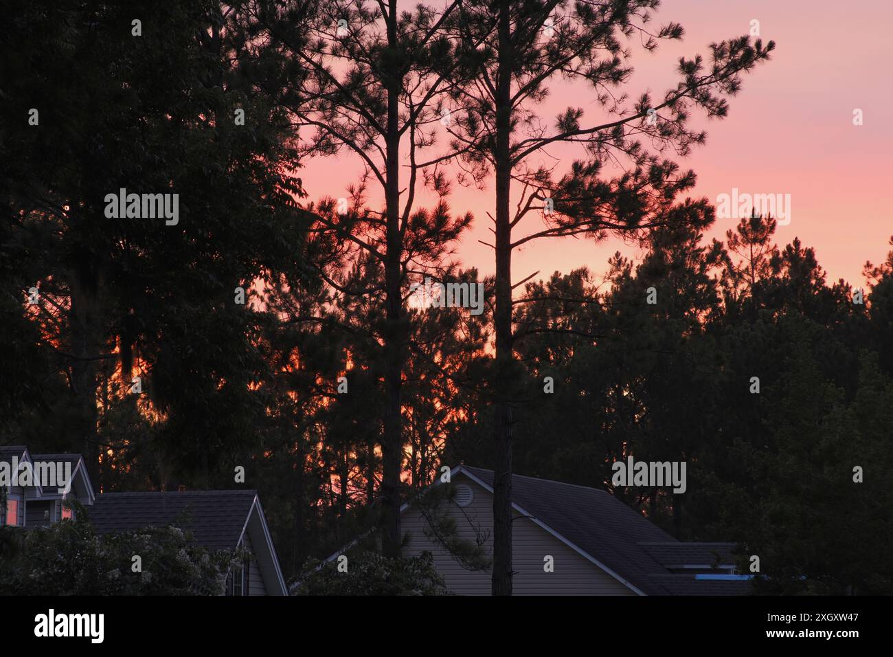 Beau ciel d'été rougeâtre du soir au-dessus des cimes des arbres dans le sud de la Géorgie USA! Banque D'Images