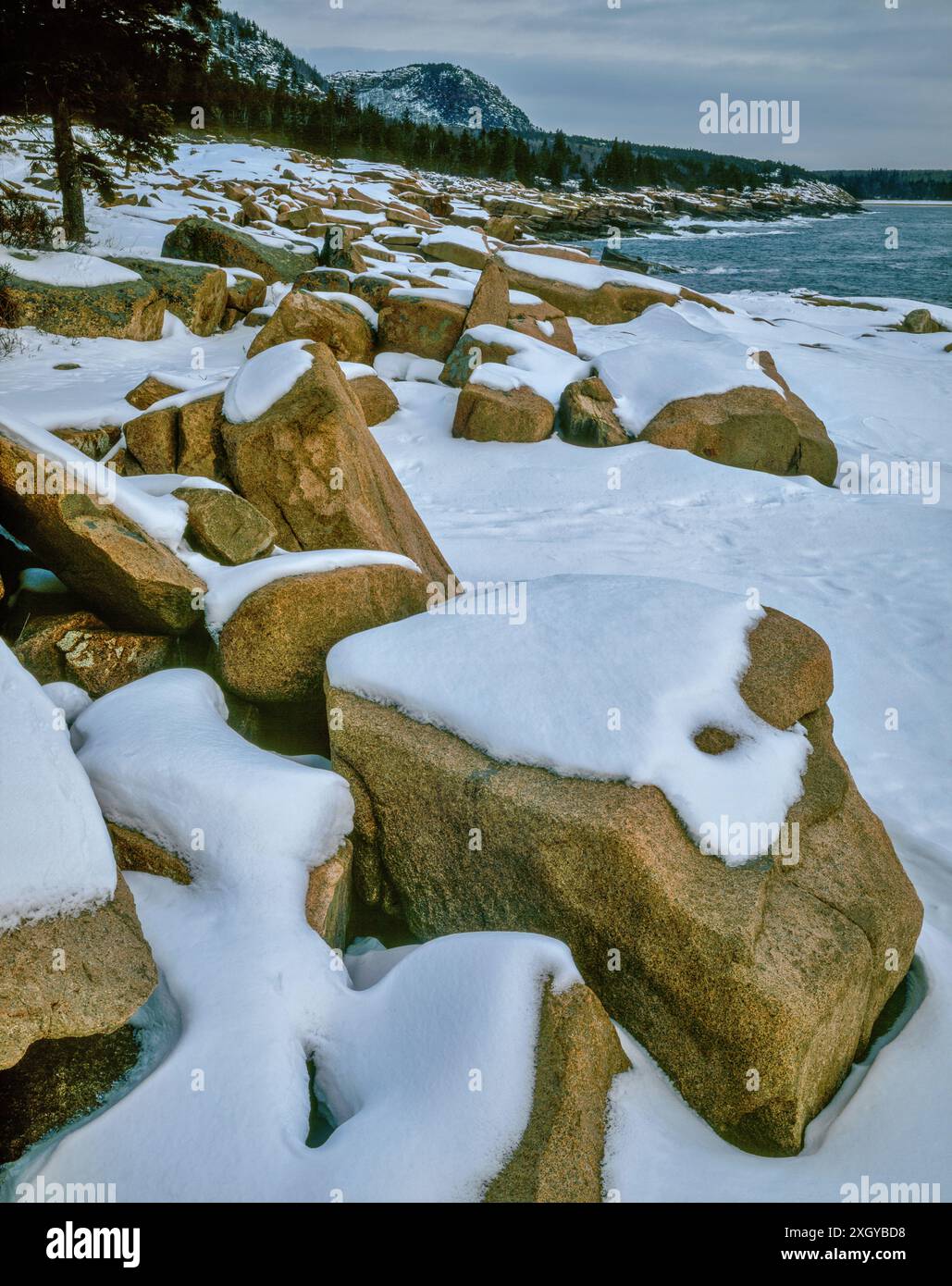 Dawn, Thunder Hole, Sand Beach, parc national Acadia, Maine Banque D'Images