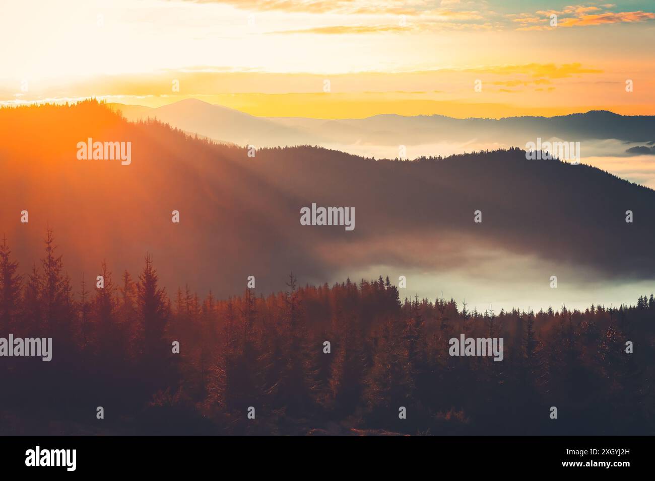 Une vue panoramique sur une chaîne de montagnes baignée par la lumière dorée du lever du soleil. Les sommets sont entourés d'une épaisse couche de brouillard, créant un paysage dramatique et éthérée. Banque D'Images