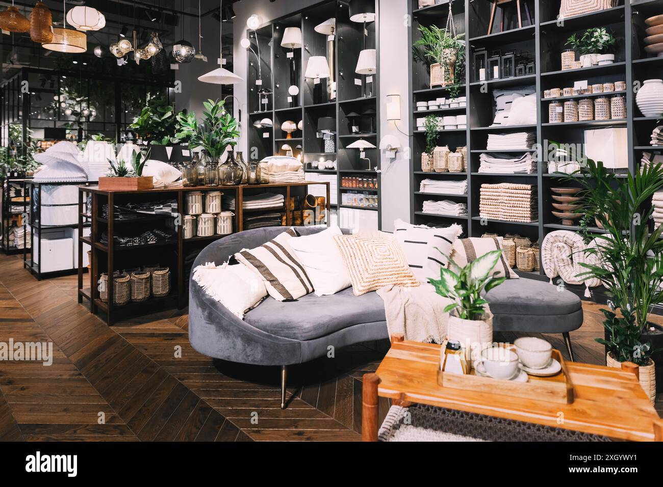 Accessoires pour la maison et produits ménagers dans le magasin du centre commercial. Vue des accessoires pour la maison pour le salon dans la boutique de mode. Canapé avec Banque D'Images