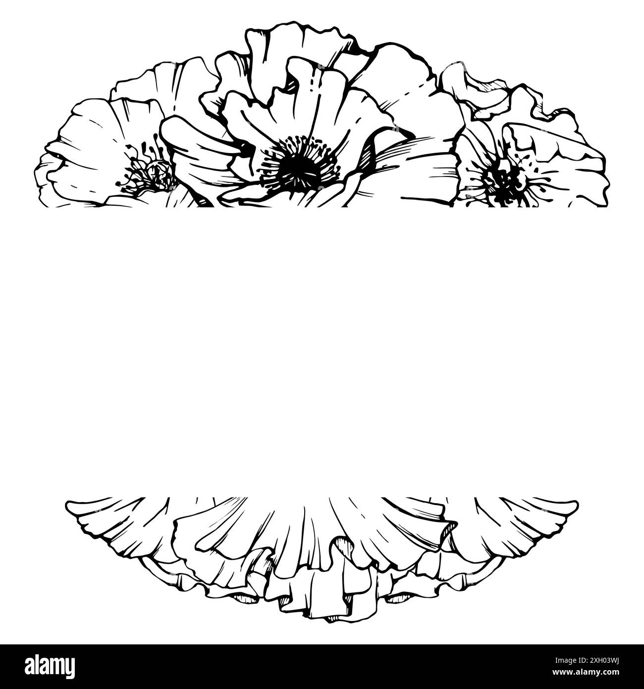 Feuilles de fleurs d'illustration botanique graphique vectorielle dessinées à la main. Papave de coquelicot rouge, tiges bourgeons graines. Cadre de bordure isolé sur fond blanc Illustration de Vecteur