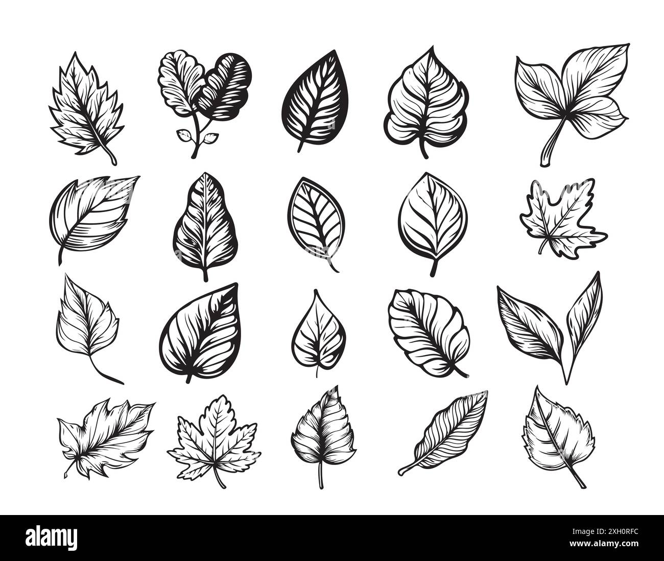 Motif de feuilles tombantes d'automne, dessiné à la main dans un style esquissé, illustrations vectorielles en noir et blanc Illustration de Vecteur