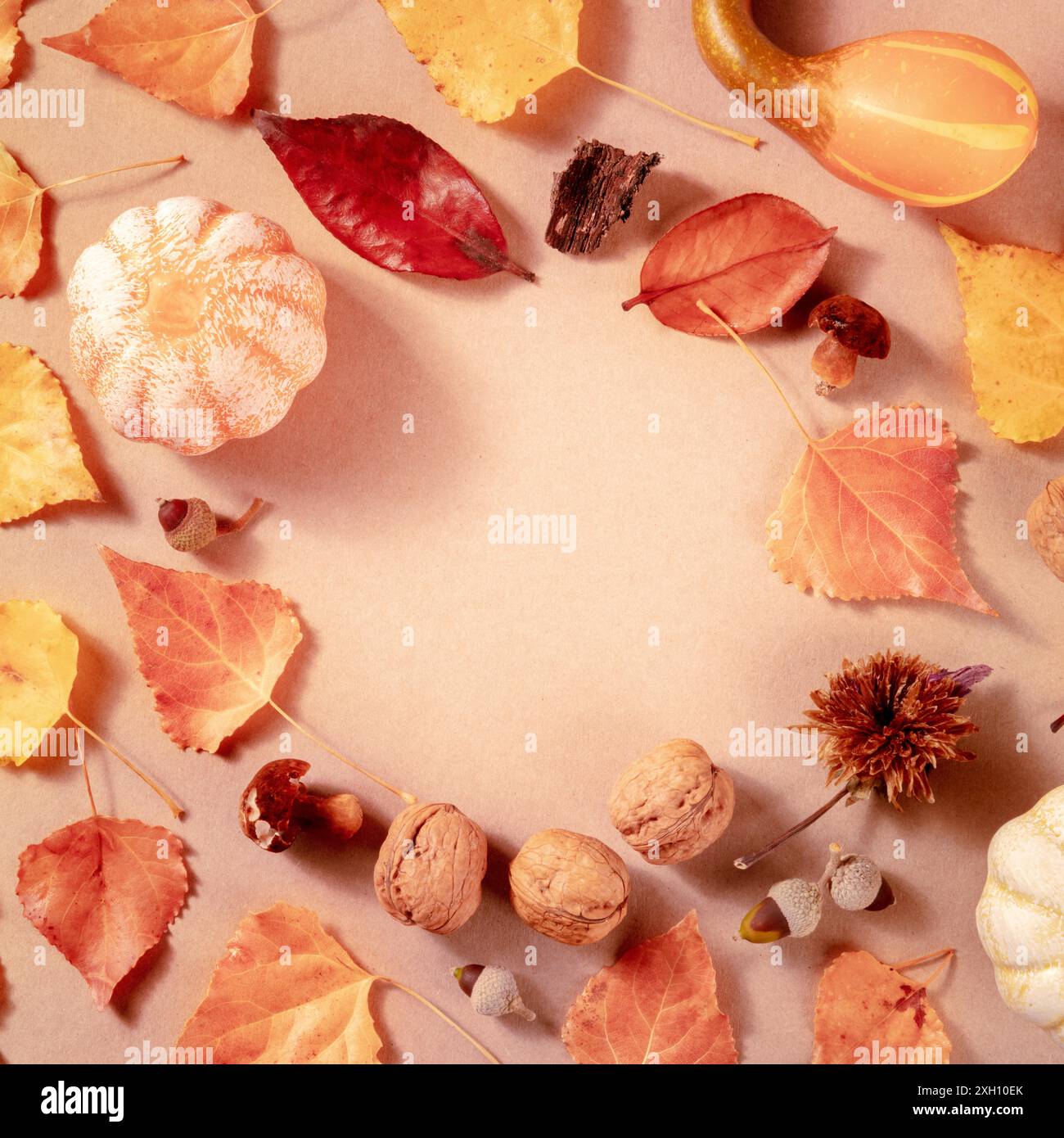 Bannière d'automne carrée pour une annonce ou une invitation, avec un lieu pour le texte, une composition de pose plate avec des feuilles et une citrouille Banque D'Images