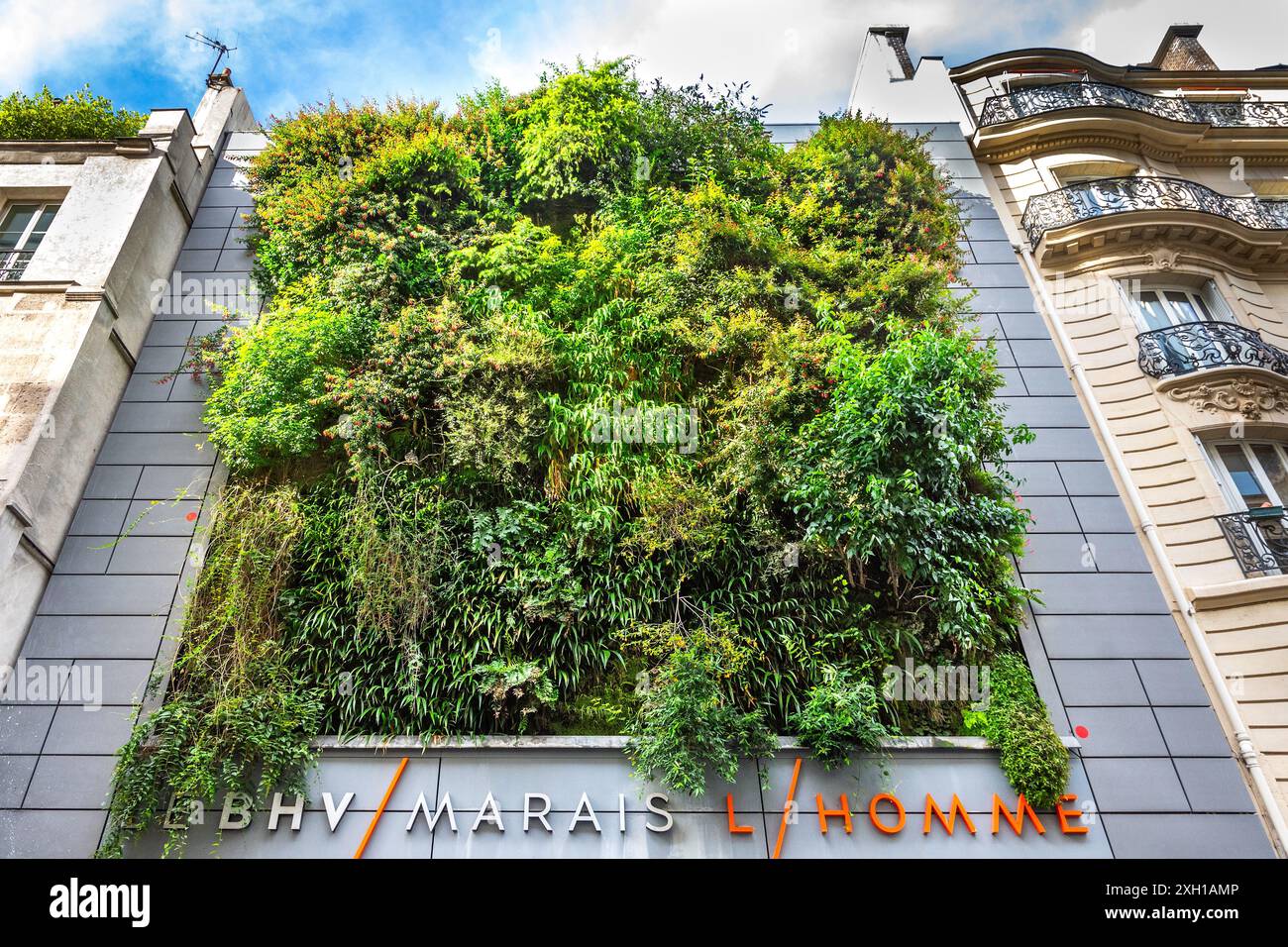 Arbres et arbustes poussant sur la façade du magasin de vêtements BHV Marais l'homme rue de la Verrerie, Paris 75004, France. Banque D'Images