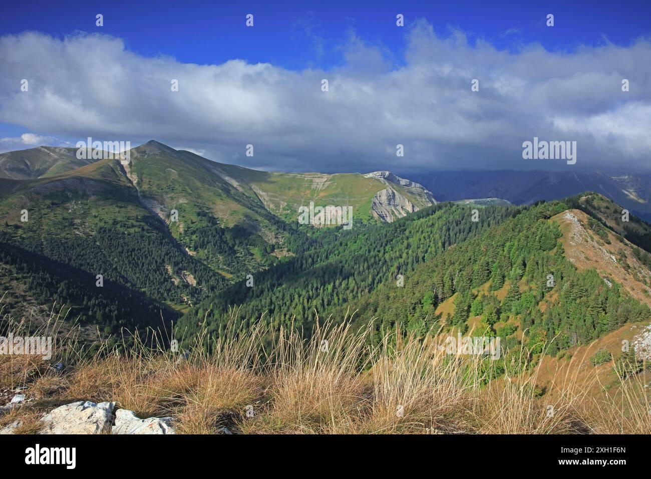 France, Drôme, lus-la-Croix-haute, vallon de la Jarjatte, la pointe de Feuillette, région naturelle de France du pays du Buëch Banque D'Images