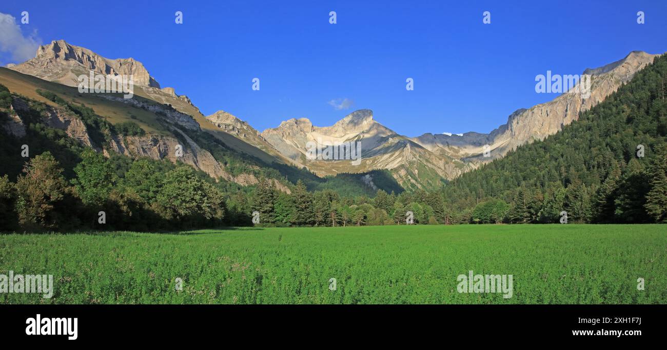 France, Drôme lus-la-Croix-haute, vallon de la Jarjatte, la tête du Lauzon, région naturelle de France du pays du Buëch Banque D'Images