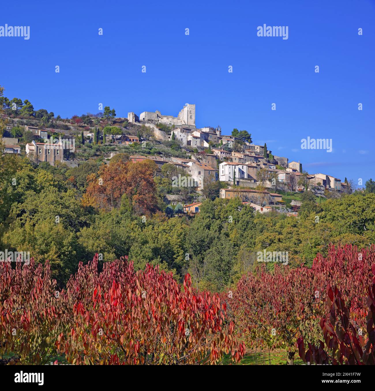 France, Vaucluse (84), Lacoste, village du parc naturel régional du Luberon, verger en automne Banque D'Images