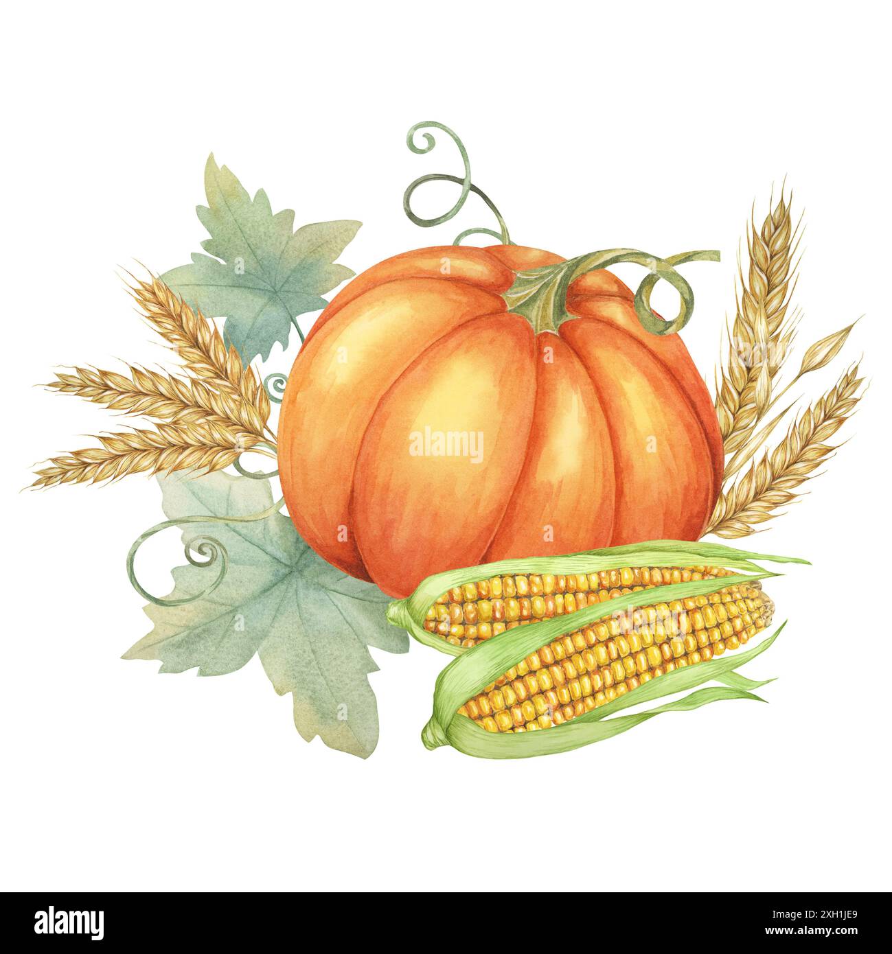 Citrouille orange accompagnée de deux épis de maïs jaune et tiges de blé avec fond de feuilles vertes. Clipart à utiliser dans les cartes de vœux saisonnières, les menus de la ferme à la table et les circulaires d'événements automnaux. Banque D'Images