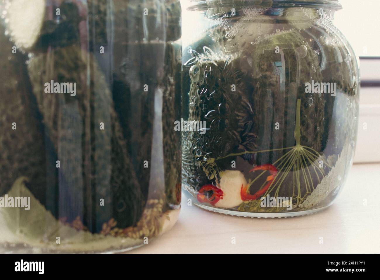 Pot en verre de concombres conservés. Pot de concombres marinés verts avec aneth et herbes. Légumes marinés. Recette de cornichons en conserve. Banque D'Images