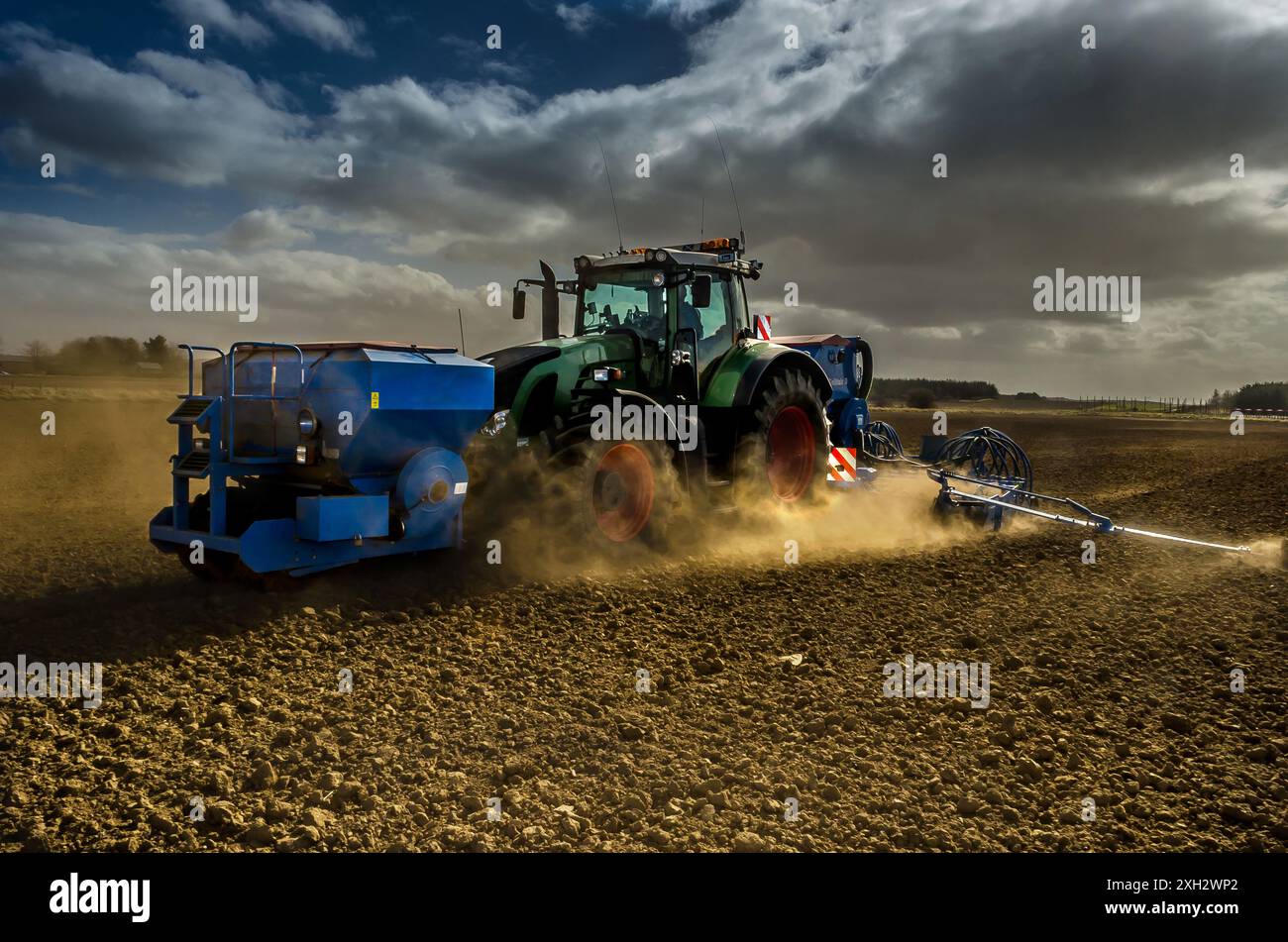 Un tracteur forant de l'orge de printemps en Écosse. Culture utilisée pour le maltage dans l'industrie du whisky. Banque D'Images