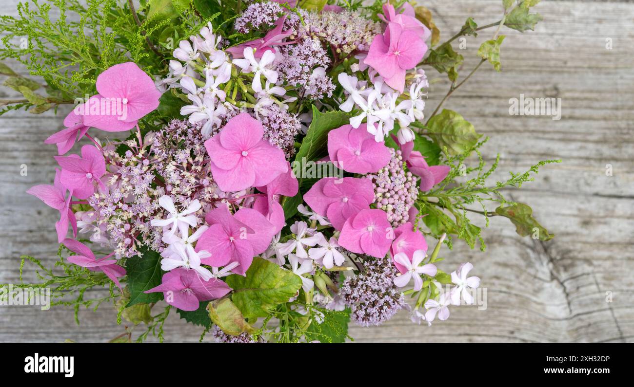 Bouquet d'été avec hortensias roses, soapwort et origan Banque D'Images