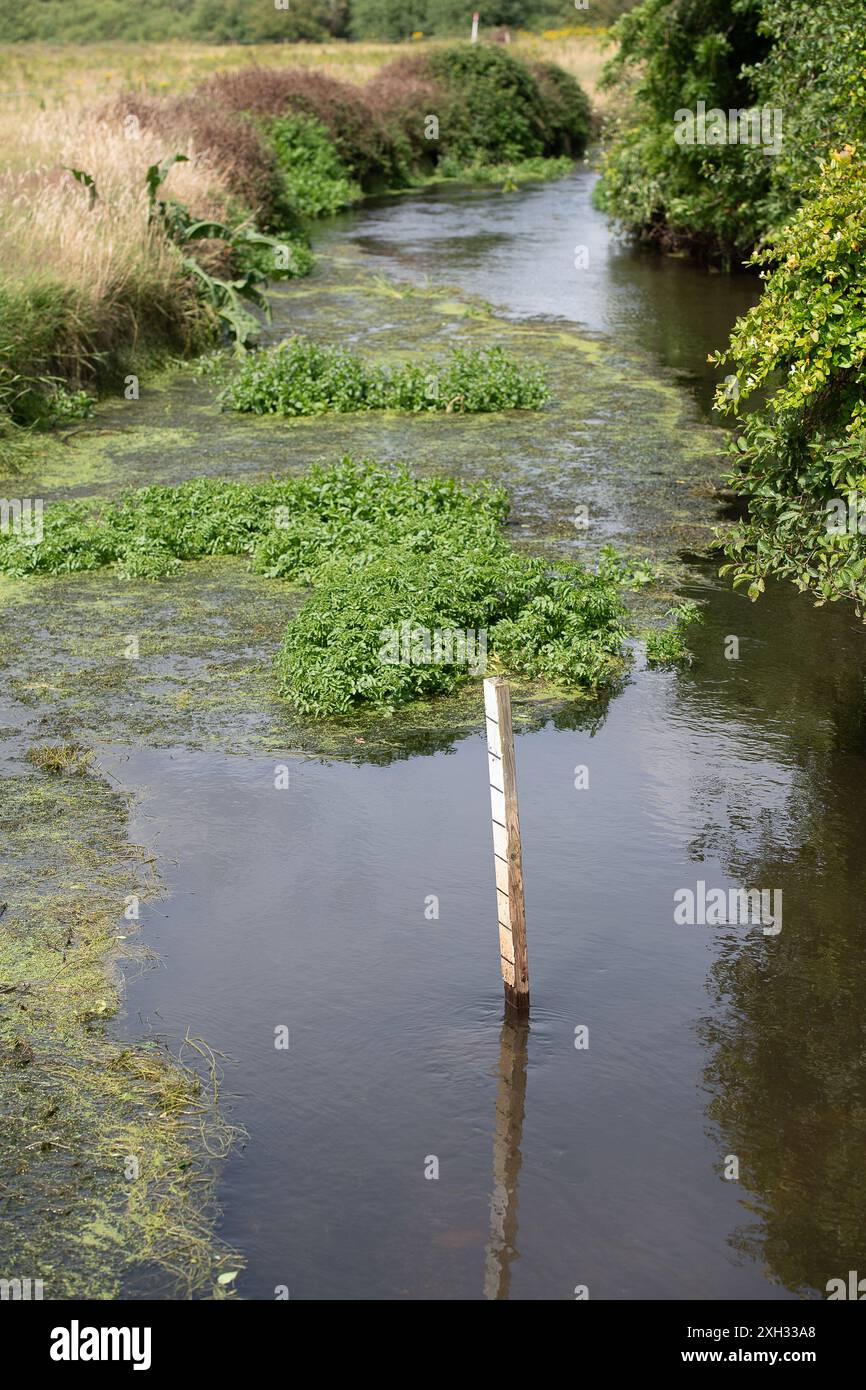 Eton Wick, Windsor, Berkshire, Royaume-Uni. Aujourd'hui encore, des entrepreneurs ont enlevé les mauvaises herbes dans le fossé Roundmoor à Eton Wick, Windsor, Berkshire. En mars, le fossé Roundmoor est devenu gris en raison des rejets importants d'eaux usées provenant des usines de traitement des eaux usées de Thames à Slough et au même endroit que sur la photo, des poissons morts ont été vus dans le fossé Roundmoor en mars 2024. Selon Thames Water, l'eau est maintenant sûre pour les entrepreneurs pour faire l'enlèvement des mauvaises herbes. Aujourd'hui OFWAT a annoncé que l'eau de Tamise doit être mise en place dans des mesures spéciales. Crédit : Maureen McLean/Alamy Live News Banque D'Images