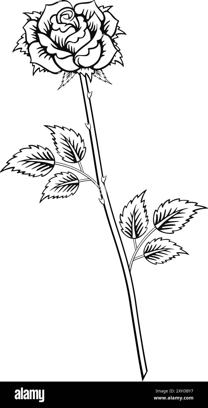 contour de tatouage rose classique avec des feuilles de tige et des épines illustration vectorielle de conception isolé sur fond transparent Illustration de Vecteur