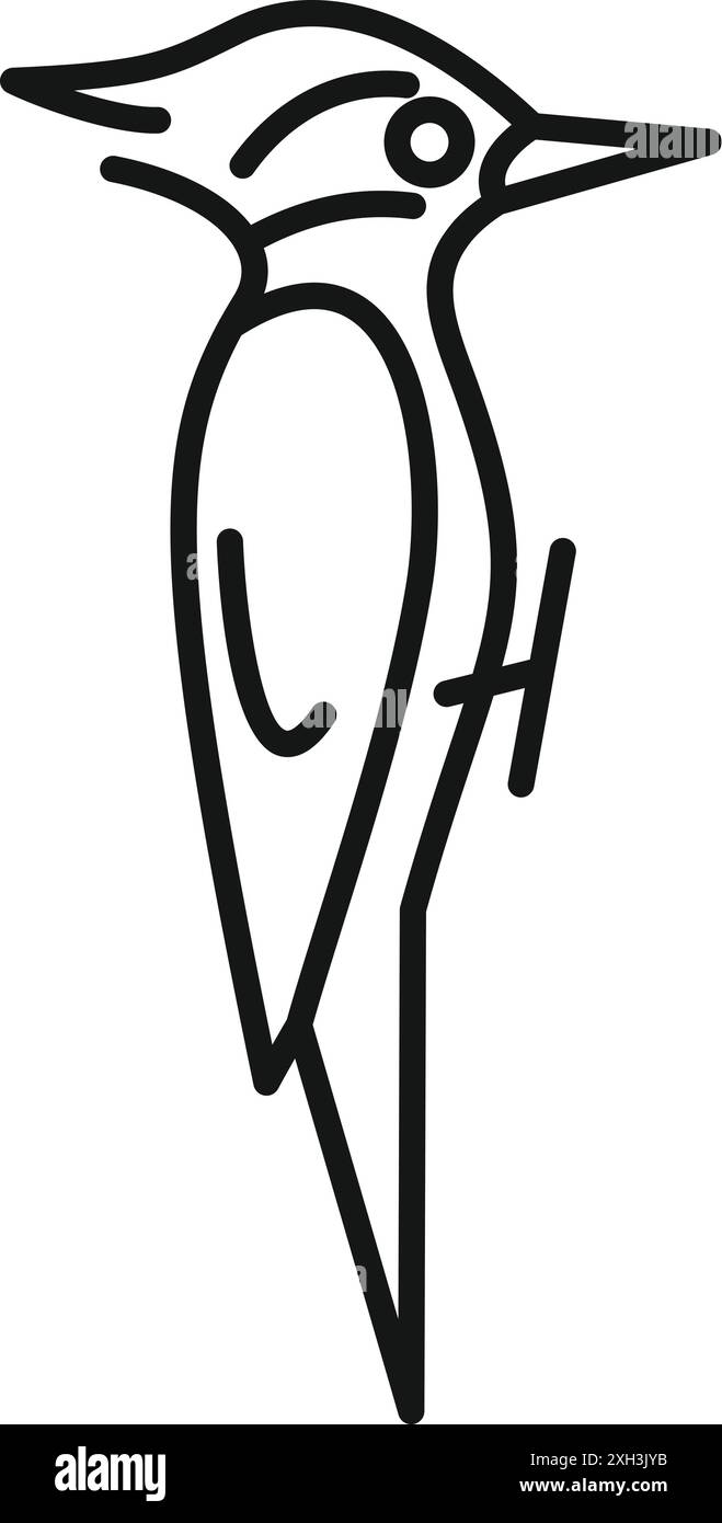 Dessin au trait minimaliste d'un oiseau au pic-bois debout, regardant vers la droite Illustration de Vecteur