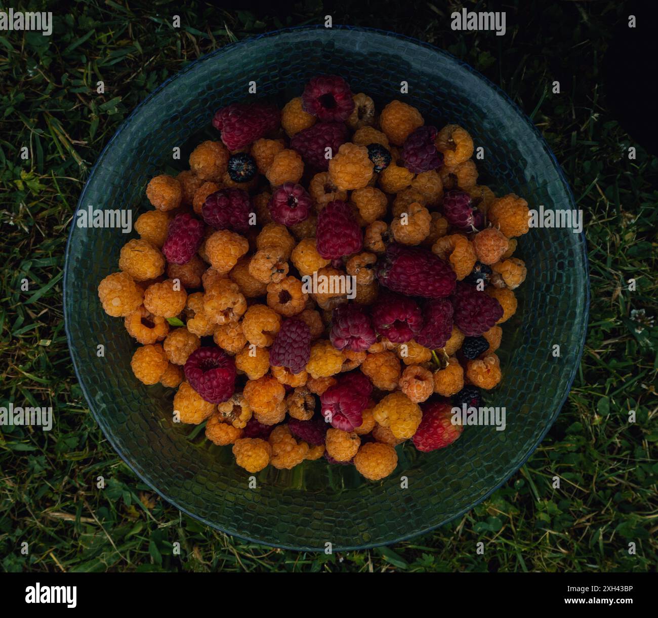 Plat de framboise d'été, saison des baies. Banque D'Images