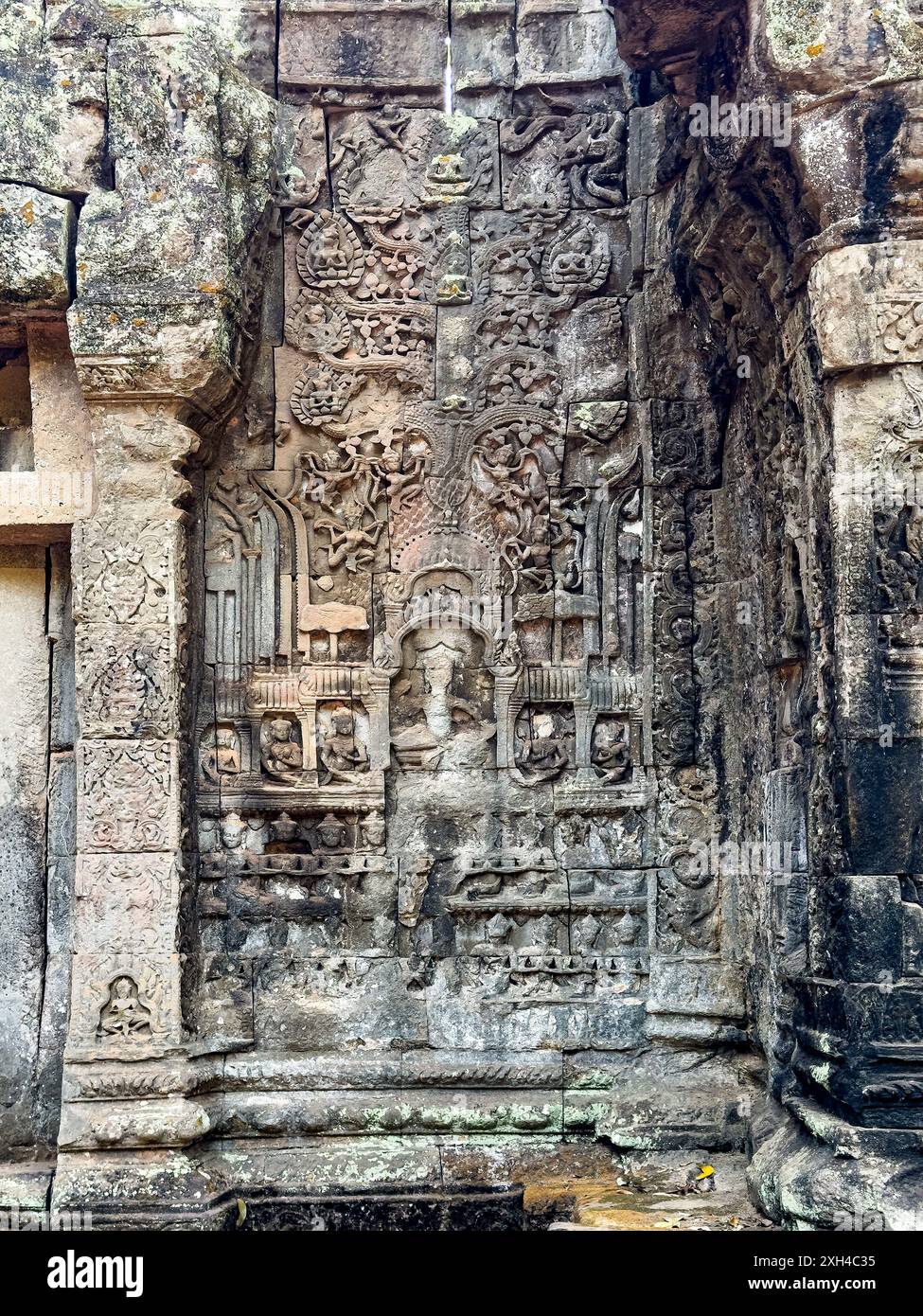 Temple Ta Prohm, un monastère bouddhiste Mahayana construit à la fin du XIIe siècle pour le roi khmer Jayavarman VII, Cambodge. Banque D'Images Temple Ta Prohm, un monastère bouddhiste Mahayana construit à la fin du XIIe siècle pour le roi khmer Jayavarman VII, Cambodge. Banque D'Images