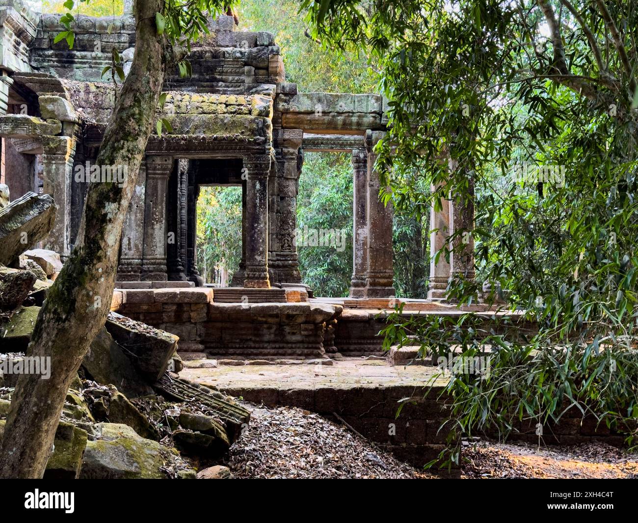 Temple Ta Prohm, un monastère bouddhiste Mahayana construit à la fin du XIIe siècle pour le roi khmer Jayavarman VII, Cambodge. Banque D'Images Temple Ta Prohm, un monastère bouddhiste Mahayana construit à la fin du XIIe siècle pour le roi khmer Jayavarman VII, Cambodge. Banque D'Images