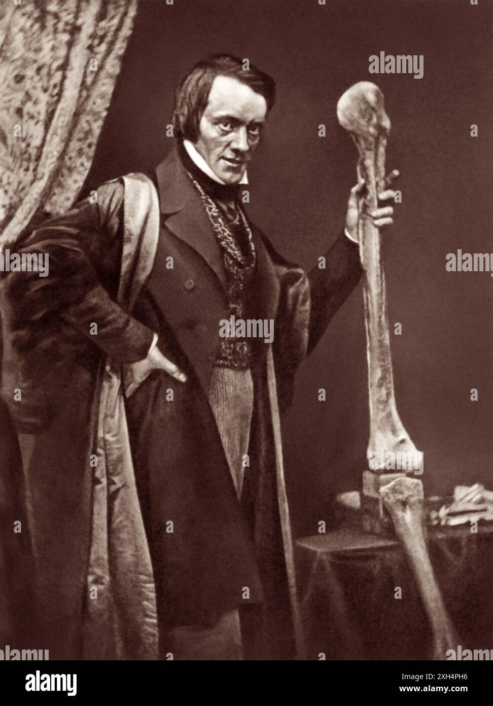 Sir Richard Owen KCB FRMS FRS (1804 – 1892) avec des fossiles d'os de jambe d'un moa géant, un oiseau éteint de Nouvelle-Zélande, en 1846. Owen était un biologiste anglais, anatomiste comparatif et paléontologue qui était un opposant à la théorie de la sélection naturelle de Charles Darwin. Il est également connu aujourd'hui pour avoir inventé le mot dinosauria (d'où nous obtenons dinosaure). Banque D'Images