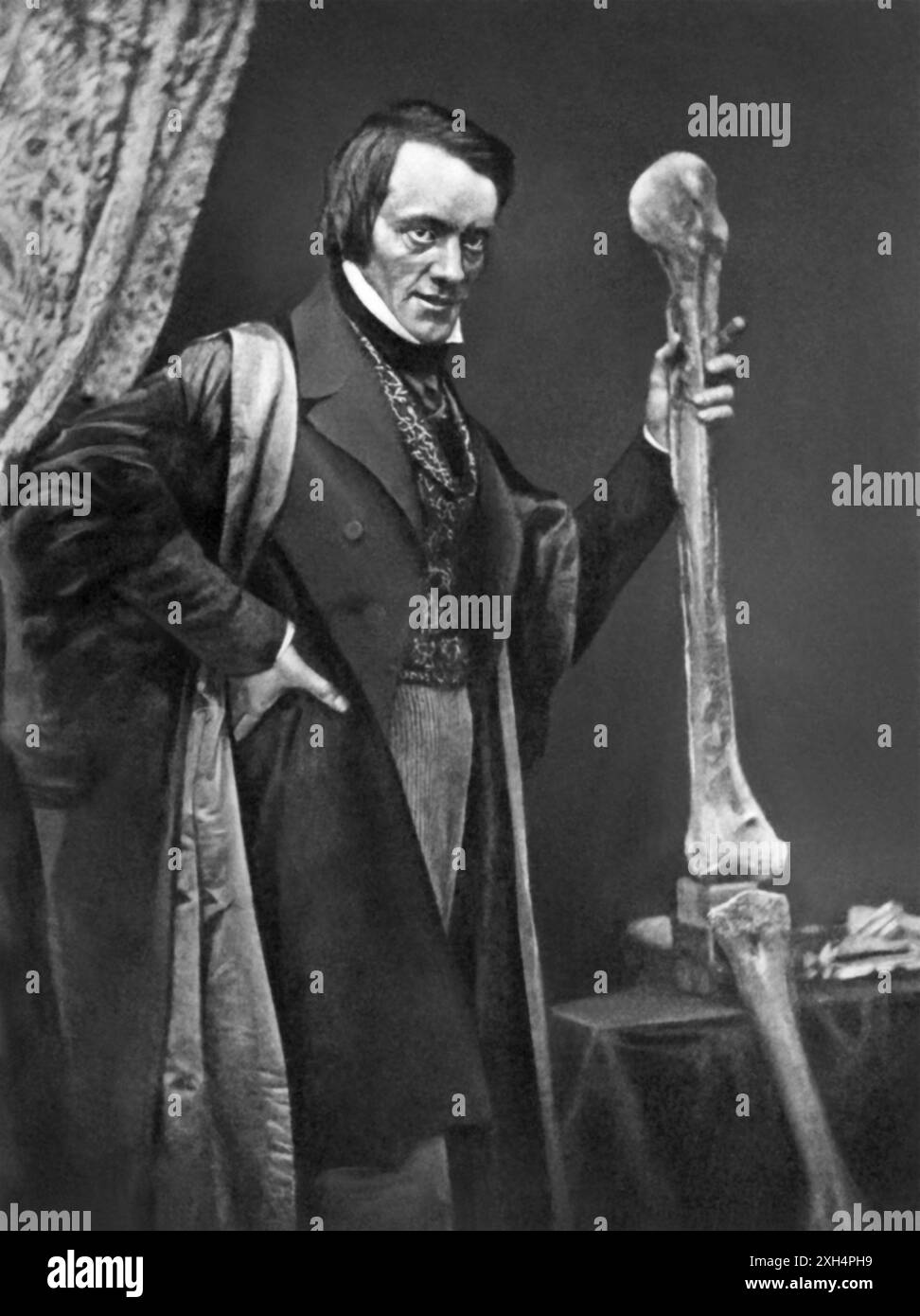 Sir Richard Owen KCB FRMS FRS (1804 – 1892) avec des fossiles d'os de jambe d'un moa géant, un oiseau éteint de Nouvelle-Zélande, en 1846. Owen était un biologiste anglais, anatomiste comparatif et paléontologue qui était un opposant à la théorie de la sélection naturelle de Charles Darwin. Il est également connu aujourd'hui pour avoir inventé le mot dinosauria (d'où nous obtenons dinosaure). Banque D'Images