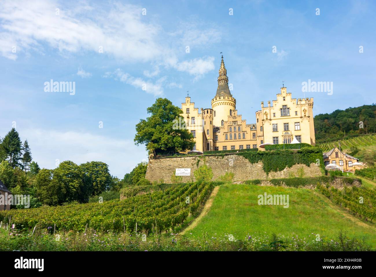 Bad Hönningen : Château de Schloss Arenfels, vignoble dans le Rheintal, Rhénanie-Palatinat, Allemagne Banque D'Images