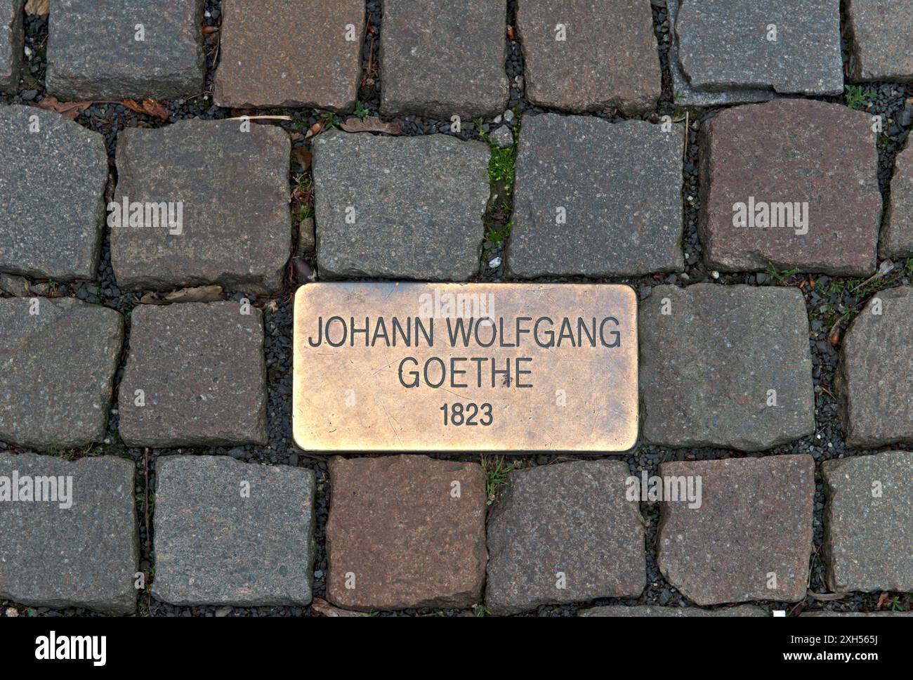 Stolperstein für Johann Wolfgang von Goethe vor dem Grandhotel Pupp im Bäderviertel, Karlsbad, Karlovy Vary, Böhmen, Tschechien *** Stumbling Stone fo Banque D'Images