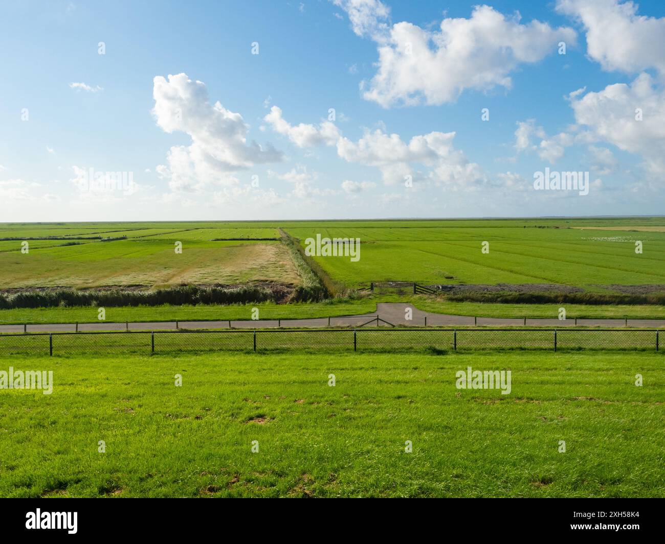 Frise, pays-Bas, 8 août 2023 : paysage agricole plat sous le ciel bleu, vue depuis une digue. Banque D'Images